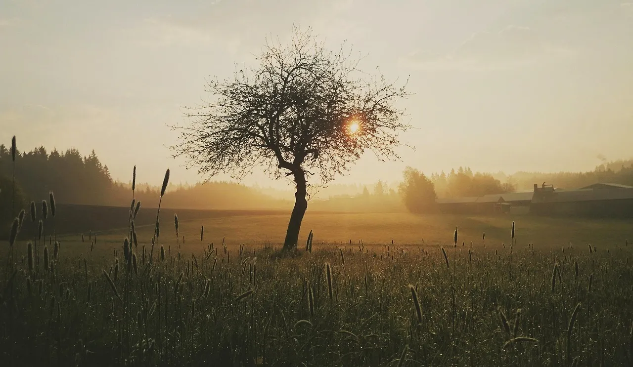 Hogyan tehetjük stresszmentessé a reggeli készülődést egyszerűen?